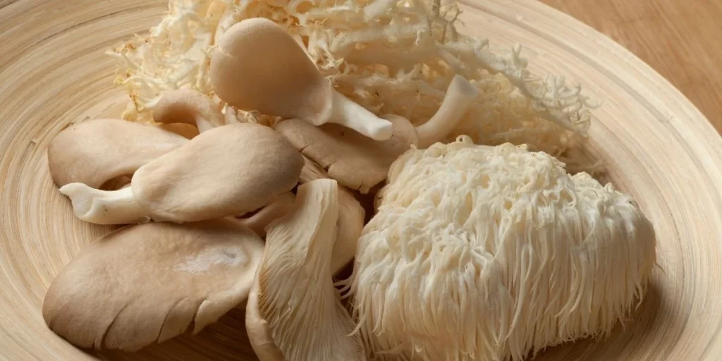 Funghi testa di scimmia